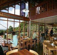 blackwood gully tea room - Sunshine Coast Tourism