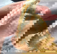 Coleraine Milk Bar - Sunshine Coast Tourism