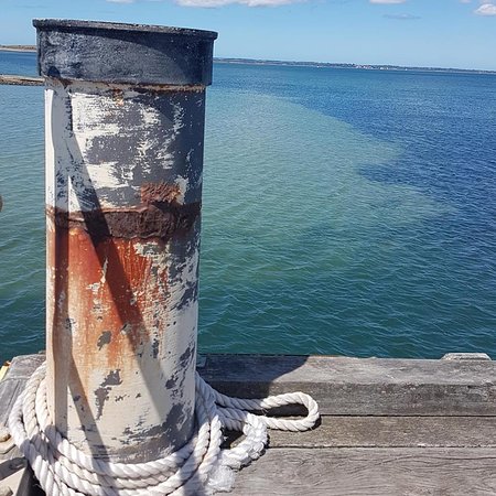 French Island ACT Sunshine Coast Tourism