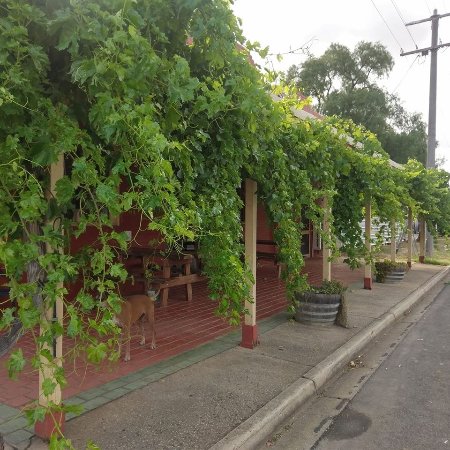 Wattle Creek ACT Sunshine Coast Tourism