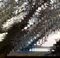 The Forest Door - Sunshine Coast Tourism