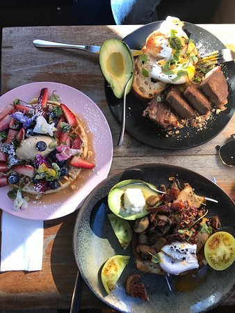 Celsius Coffee Co. - Holiday Sunshine Coast 0