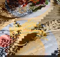 The Northern Bean - Sunshine Coast Tourism