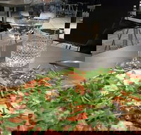 May's Pizzeria - Sunshine Coast Tourism