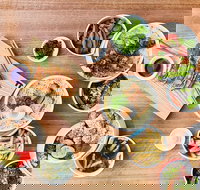 Motto Motto Japanese Kitchen Macquarie Centre - Sunshine Coast Tourism