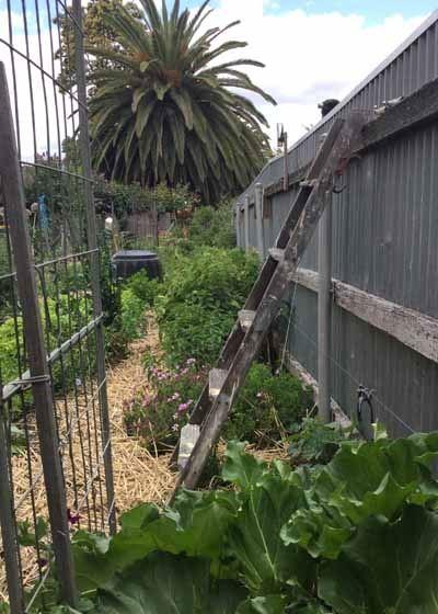 MannaFest Cafe - Sunshine Coast Tourism 11