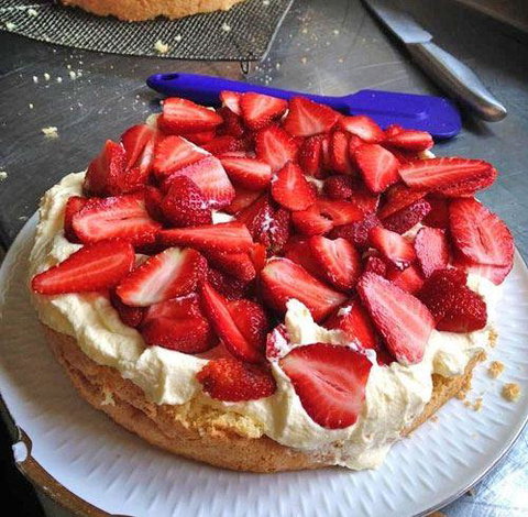 MannaFest Cafe - Sunshine Coast Tourism 4