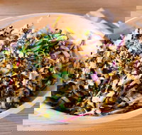 Fishbowl - Sunshine Coast Tourism