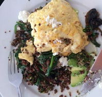 Prikly Pair Cafe - Sunshine Coast Tourism