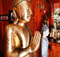 Mai Thai - Holiday Sunshine Coast