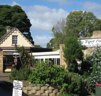 Tipsy Fig - Holiday Sunshine Coast
