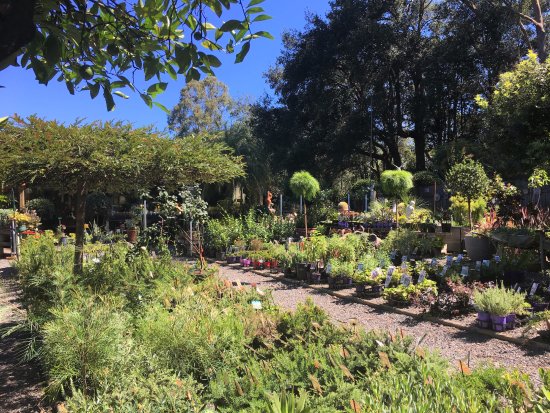 Yatte Yattah NSW Sunshine Coast Tourism