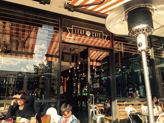 Broughton River Valley ACT Sunshine Coast Tourism