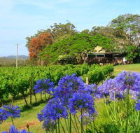 Little Fish Cafe - Sunshine Coast Tourism