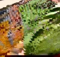 Lone Pine Tavern - Sunshine Coast Tourism