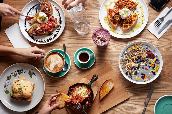 Cecil Hills NSW Sunshine Coast Tourism