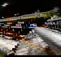 The Duck on Clarence - Sunshine Coast Tourism