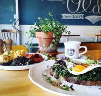 The Old Boy - Sunshine Coast Tourism