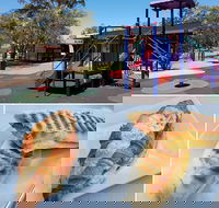 Le Parisien - Sunshine Coast Tourism