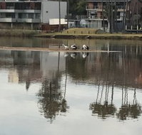 The Melting Room - Sunshine Coast Tourism