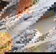 Oporto - Sunshine Coast Tourism