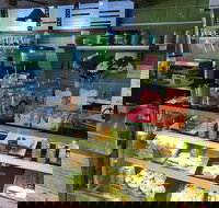 Pro Juice - Holiday Sunshine Coast