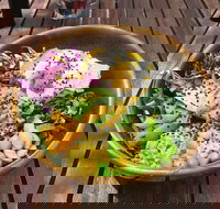 The Hub - Sunshine Coast Tourism