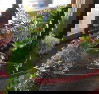 The Red Barrel Wine House - Sunshine Coast Tourism