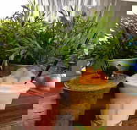 Brighton St - Takeaway - Sunshine Coast Tourism