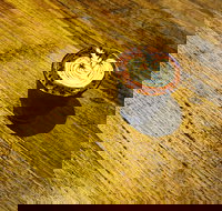 Janeks Cafe - Sunshine Coast Tourism