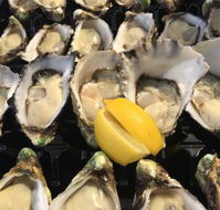 The Oyster Shed - Sunshine Coast Tourism
