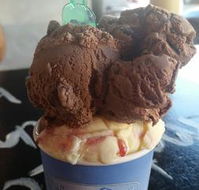 Windsor Ice Cream Cafe - Sunshine Coast Tourism