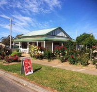 Rose Cafe - Sunshine Coast Tourism