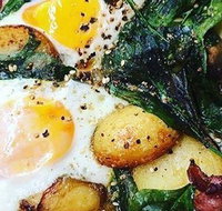 Uliveto - Sunshine Coast Tourism