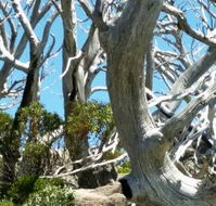 Alpine Eyre - Sunshine Coast Tourism