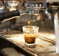 Black Bear Cafe - Holiday Sunshine Coast