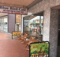 Blue Bird Cafe - Holiday Sunshine Coast