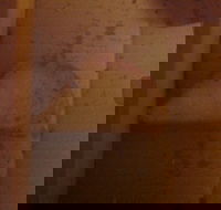 Domino's Pizza - Sunshine Coast Tourism