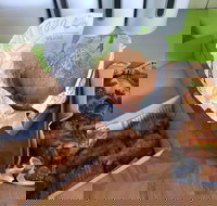 Hello Harry - Holiday Sunshine Coast