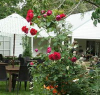 Sturt Coffee - Sunshine Coast Tourism