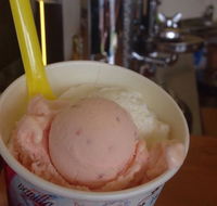 Bermagui Gelati Clinic - Sunshine Coast Tourism