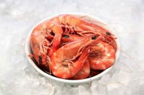 Blue Wave Seafood - Holiday Sunshine Coast 0