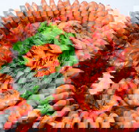 Evans Head Fishermens Co-Op - Sunshine Coast Tourism