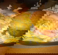 Finn  Co Cafe - Holiday Sunshine Coast