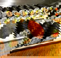 Freewave Sushi  Burgers - Sunshine Coast Tourism