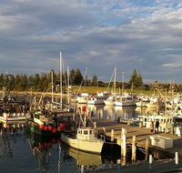 Horse  Camel - Sunshine Coast Tourism