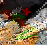 Thai Square Springwood - Sunshine Coast Tourism