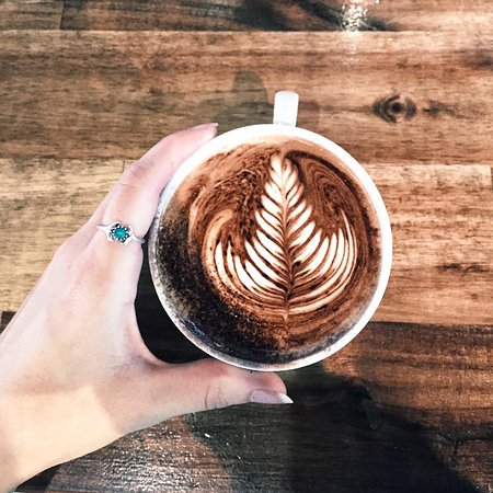 Budgewoi NSW Sunshine Coast Tourism