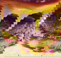 The Box Factory - Sunshine Coast Tourism