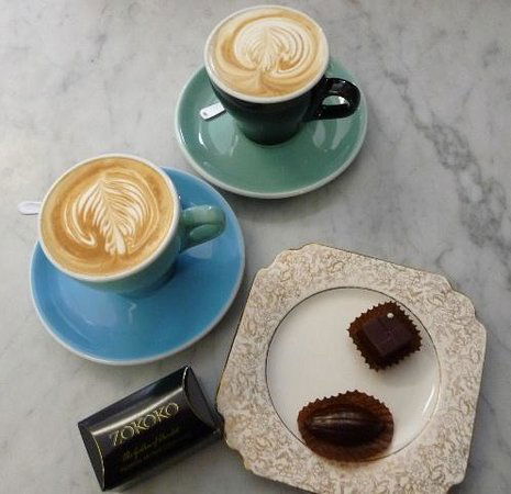 Zokoko - Sunshine Coast Tourism 0